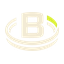 Birth Year Battle logo